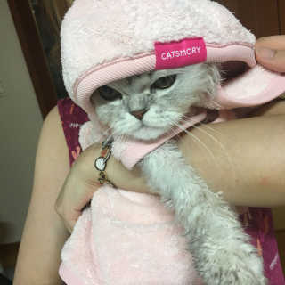 kelynomma님이 올린 리뷰 사진 1