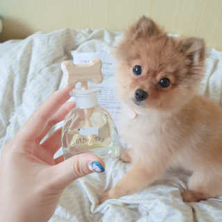 은선이짱님이 올린 리뷰 사진 2