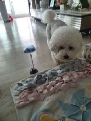 Anna님이 올린 리뷰 사진 2