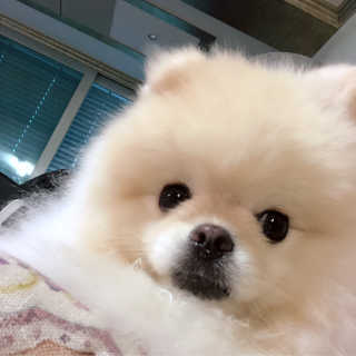 나래님이 올린 리뷰 사진 2