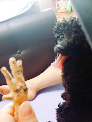 쑤쏭님이 올린 리뷰 사진 1