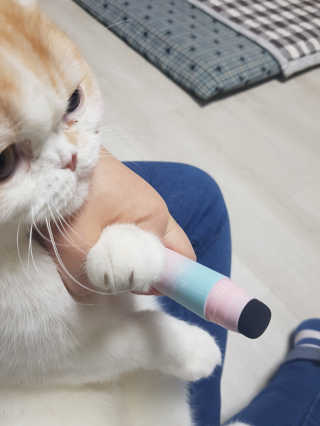 소피마르소님이 올린 리뷰 사진 4