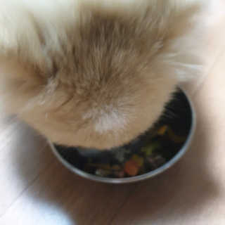 선율님이 올린 리뷰 사진 4