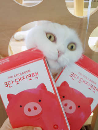 오리지널 미팩토리 3단 돼지코팩 5매입 X 2 — 5점을 준 리뷰어가 2018년 7월 올린 사용 사진