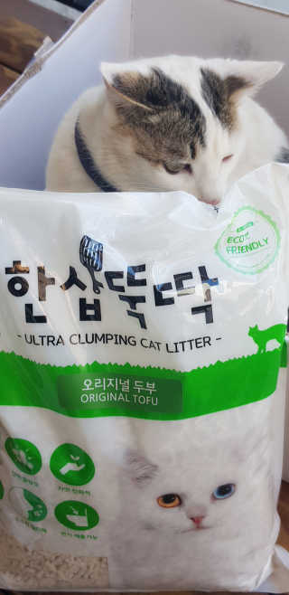 [펫토리아] BEST 고양이두부모래 6L 한삽뚝딱 — 5점을 준 리뷰어가 2018년 12월 올린 사용 사진