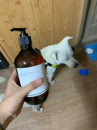 choiyeji님이 올린 리뷰 사진 3