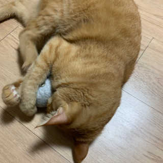 은니님이 올린 리뷰 사진 2