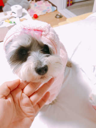 한지님이 올린 리뷰 사진 1