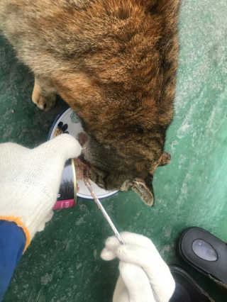 유영경님이 올린 리뷰 사진 2