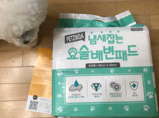 페츠모아 냄새잡는 요술배변패드 — 4점을 준 리뷰어가 2020년 3월 올린 사용 사진