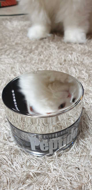 Woo7C님이 올린 리뷰 사진 1