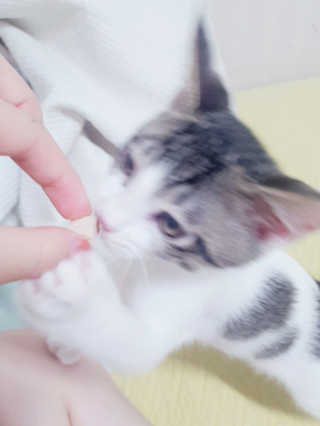 은지은지은지은지님이 올린 리뷰 사진 3