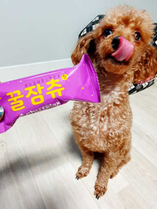 들장미캔디님이 올린 리뷰 사진 3
