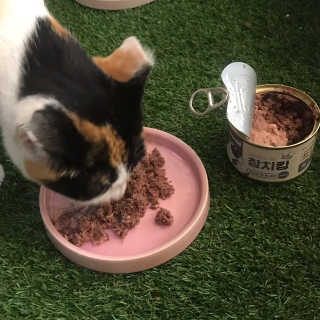 jins님이 올린 리뷰 사진 2