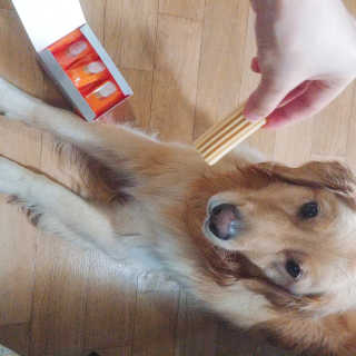 아보카도올리브님이 올린 리뷰 사진 1