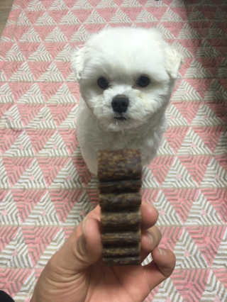 주완민혁님이 올린 리뷰 사진 1