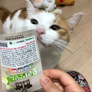 펫츠플레이트 동결건조간식 기호성 테스트 8종 — 5점을 준 리뷰어가 2018년 5월 올린 사용 사진