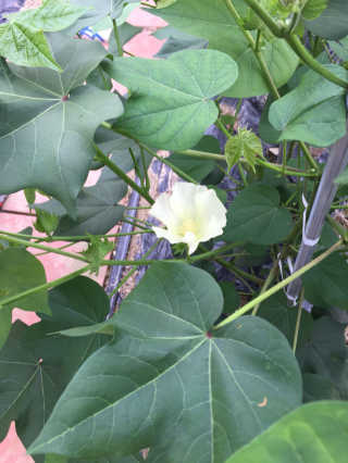 린찡꿍님이 올린 리뷰 사진 4