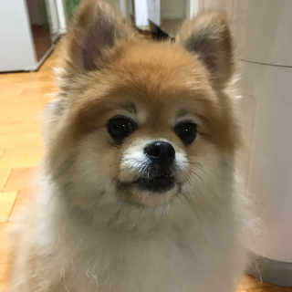 파이누이님이 올린 리뷰 사진 4