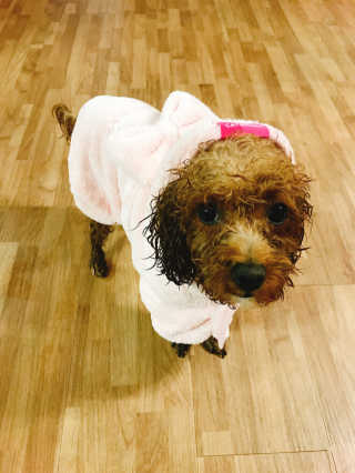 B님이 올린 리뷰 사진 2