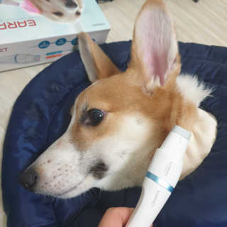 ㅈㅎ님이 올린 리뷰 사진 2