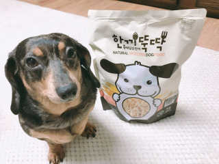 [펫토리아] 맛도 영양도 BEST 한끼뚝딱 강아지 사료 — 4.83점을 준 리뷰어가 2018년 12월 올린 사용 사진
