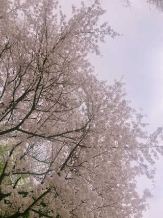 HayeonJung님이 올린 리뷰 사진 1