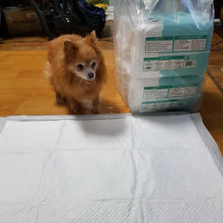 초밥님이 올린 리뷰 사진 2