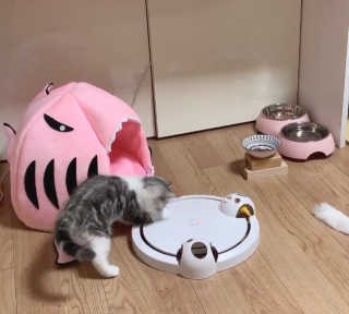 이가빈님이 올린 리뷰 사진 2