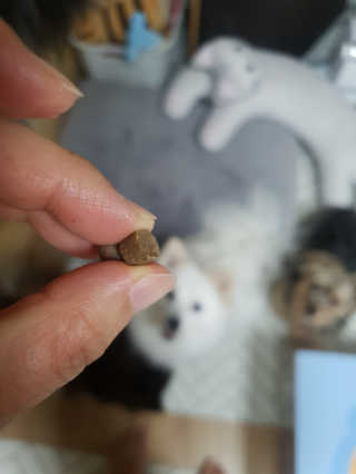 손바닥님이 올린 리뷰 사진 4
