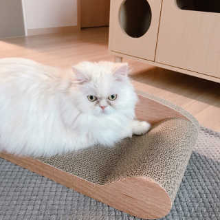 옘둥님이 올린 리뷰 사진 1