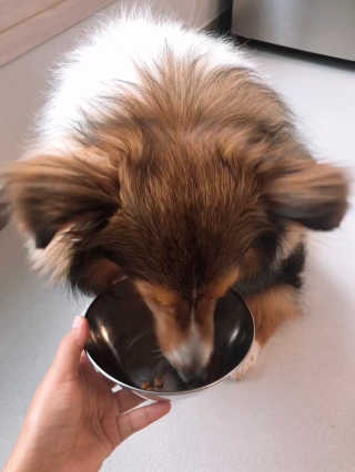 healingling님이 올린 리뷰 사진 1