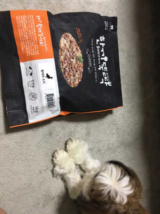 [펫토리아] 맛도 영양도 BEST 한끼뚝딱 강아지 사료 — 5점을 준 리뷰어가 2018년 12월 올린 사용 사진