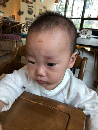 통통푸들님이 올린 리뷰 사진 2