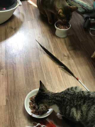 츄루님이 올린 리뷰 사진 2