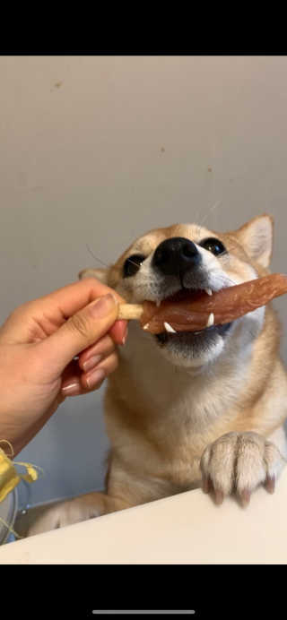 최라벨님이 올린 리뷰 사진 2