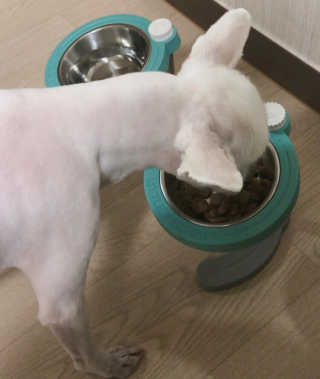 왠디님이 올린 리뷰 사진 2