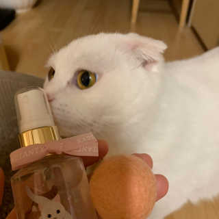 michichi208님이 올린 리뷰 사진 1