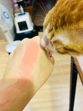 JihyeCheong님이 올린 리뷰 사진 3