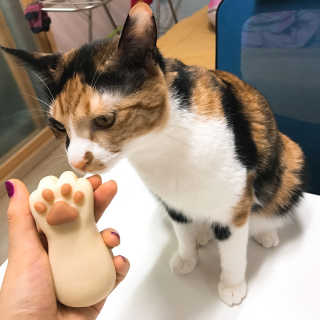 예콩님이 올린 리뷰 사진 1