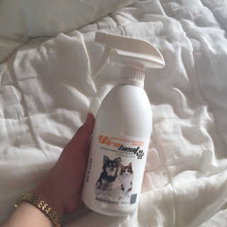 쮼똧님이 올린 리뷰 사진 3