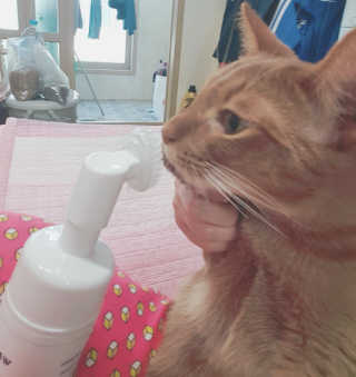 뚜이니님이 올린 리뷰 사진 3