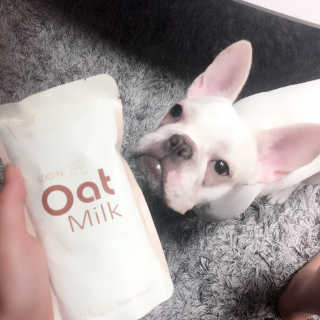 불독키우는개엄마❤️님이 올린 리뷰 사진 2