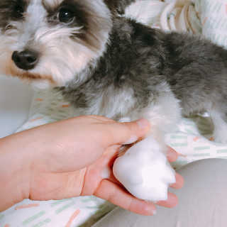 한지님이 올린 리뷰 사진 1
