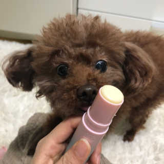 쪼안나골드님이 올린 리뷰 사진 2
