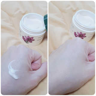 박언뉘님이 올린 리뷰 사진 1