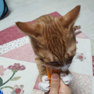 dutxod님이 올린 리뷰 사진 1