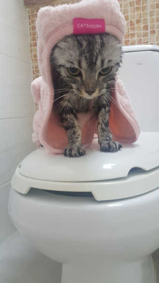 고진호님이 올린 리뷰 사진 4