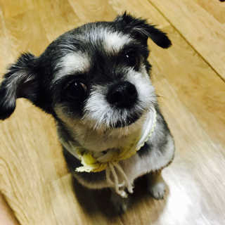 백민호님이 올린 리뷰 사진 1