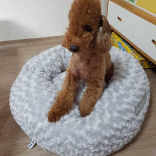 미블리님이 올린 리뷰 사진 1